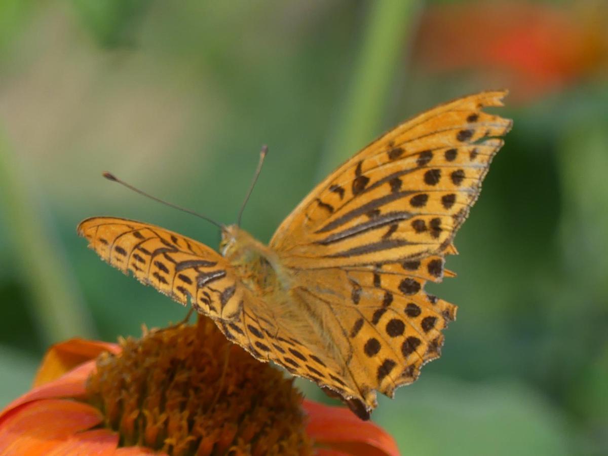 Source Nature Mas-d'Azil Exterior foto